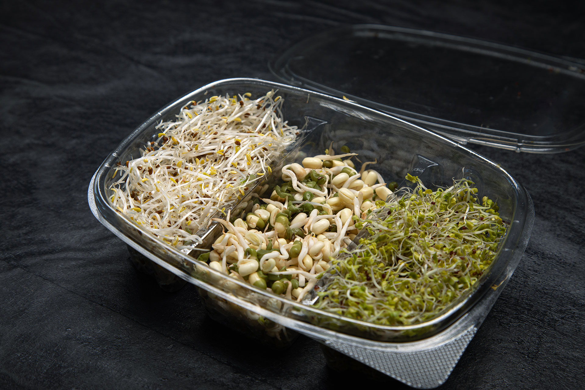 Foto 1 proyecto INVITRO NIAS